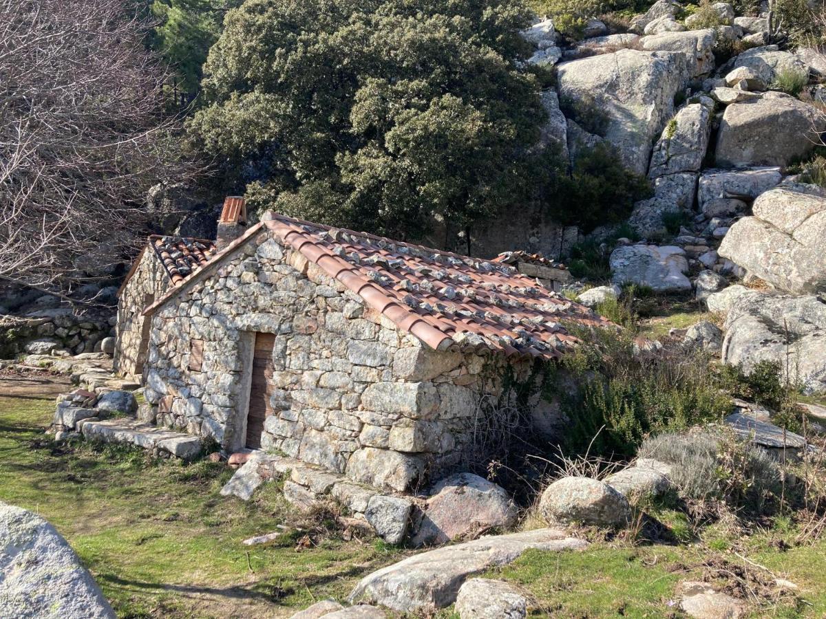 Mini-villa 1 Mer * Porto-Vecchio (Corsica)